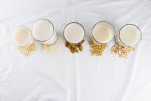 Types of plant milk Plant milk production